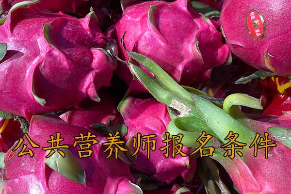 湖北公共营养师报名需要什么条件