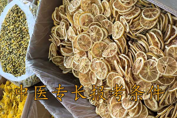 大连中医专长报考执业医师条件