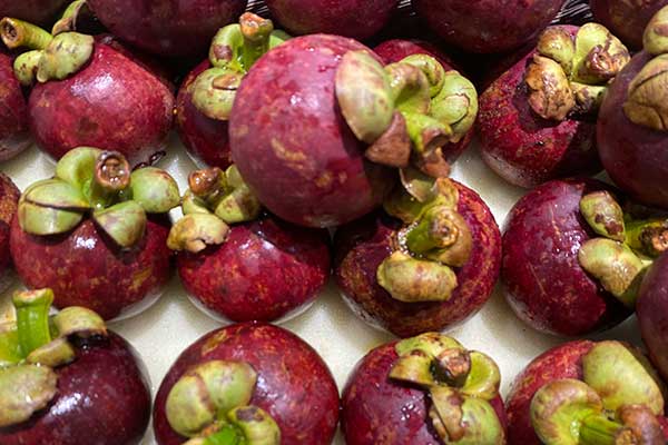 甘肃公共营养师报名需要什么条件