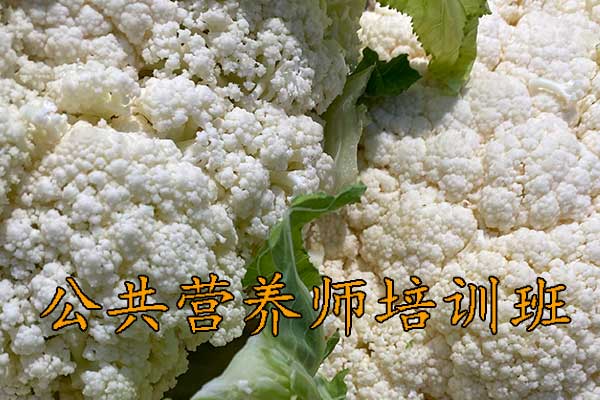 太原公共营养师培训哪家好