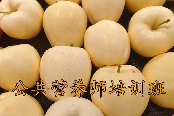 沈阳公共营养师培训机构哪家好