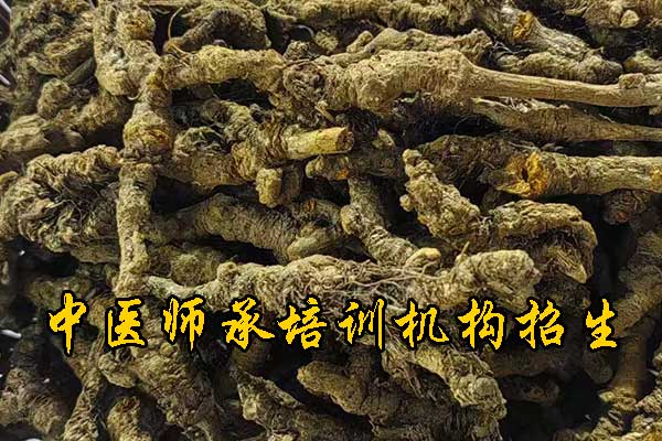 哈尔滨师承中医培训学校学费