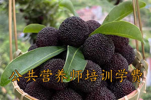 贵阳公共营养师培训哪家好