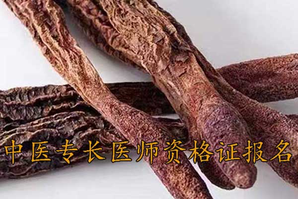 保定中医专长医师资格证报名机构