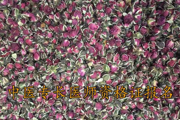 苏州师承中医培训机构学费多少