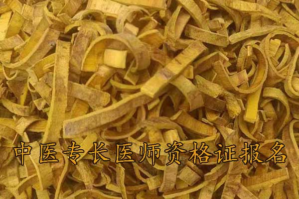 银川师承中医培训多少钱