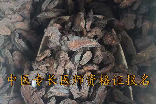 西宁师承中医培训机构学费多少