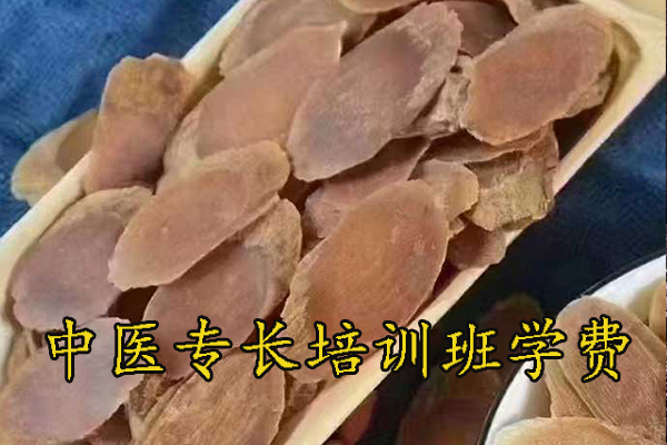 株洲中医专长医师资格证考试培训