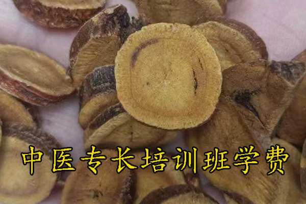 丽水中医专长医师资格证报名费多少钱