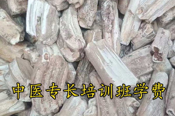 襄阳中医专长医师资格证报名机构