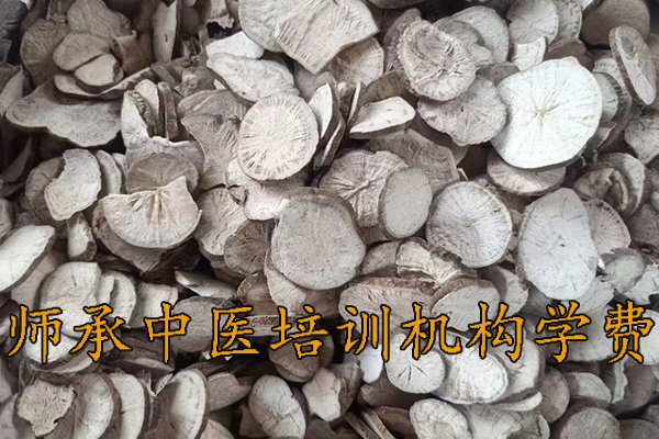 昆明师承中医培训机构学费多少