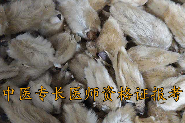 信阳中医专长医师资格证考试培训