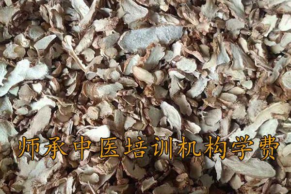 南通师承中医培训机构学费多少