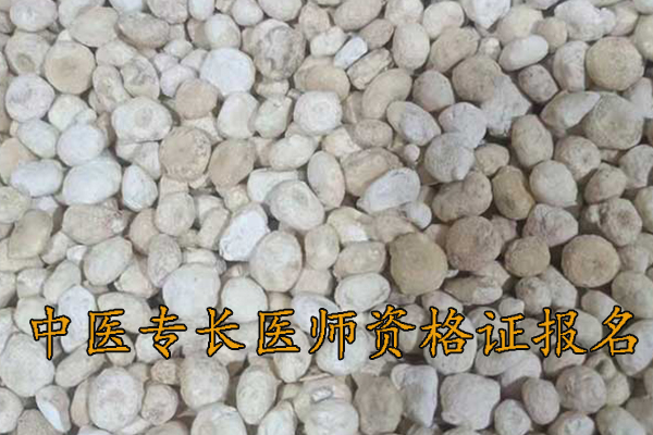 龙岩中医专长医师资格证考试培训