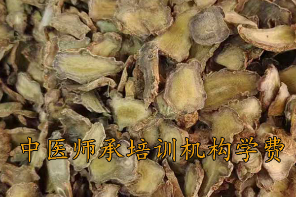 珠海中医师承培训多少钱