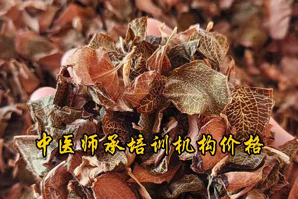 盐城中医师承培训学校学费