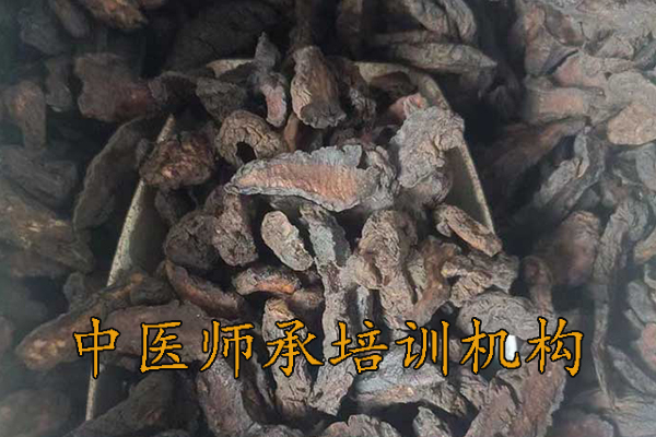 保定中医师承培训多少钱