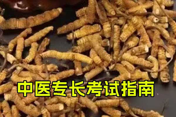 南平中医专长医师资格证怎么报名