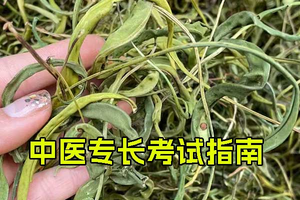 安庆中医专长医师资格证考试培训