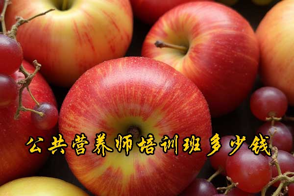 潮州公共营养师培训机构哪家好