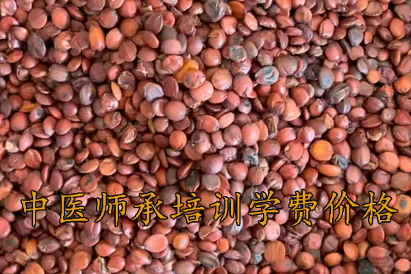 潮州中医师承培训学校学费