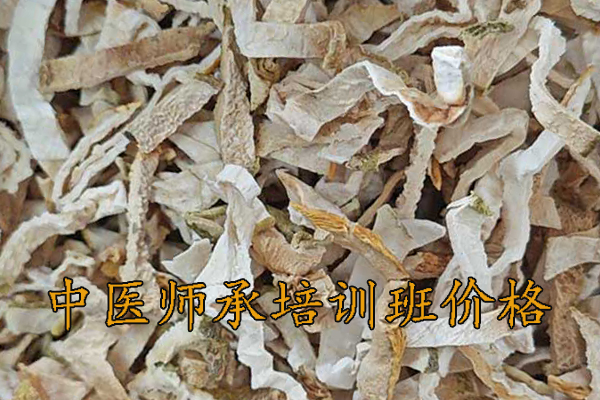 秦皇岛中医师承培训多少钱