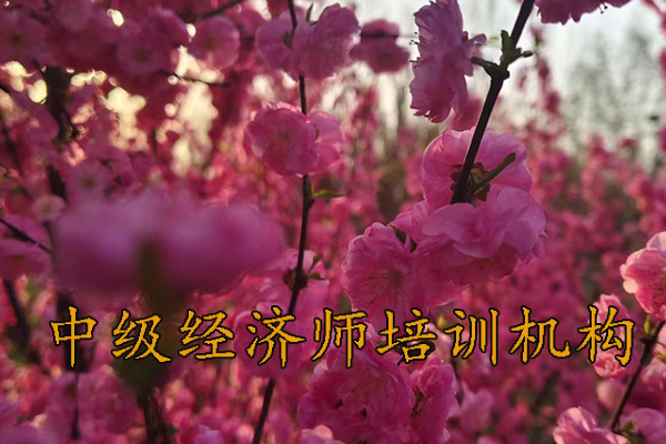 金华中级经济师考试科目