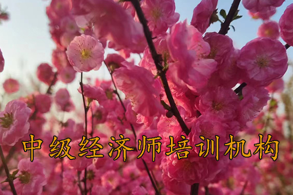 惠州中级经济师培训班有哪些