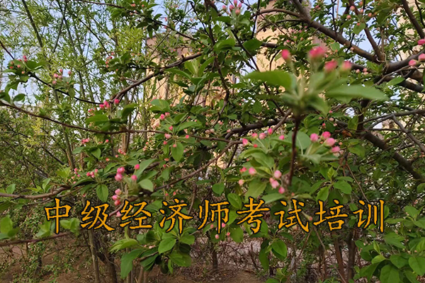 台州中级经济师培训哪家好