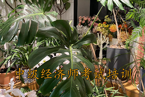 扬州中级经济师考试科目