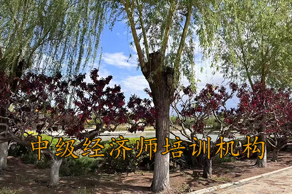 镇江中级经济师考场在哪里