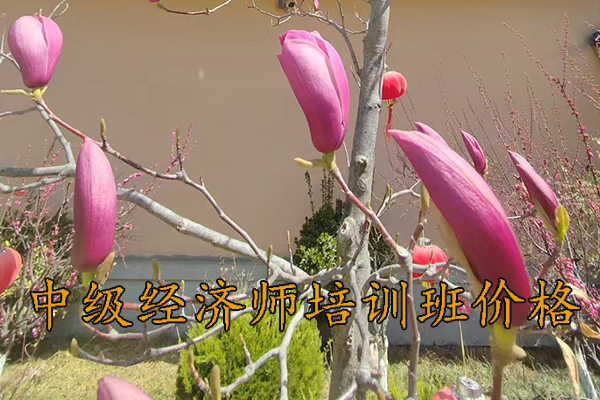 漳州中级经济师培训哪家好