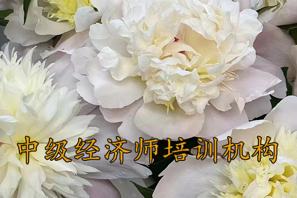 桂林中级经济师培训班有哪些