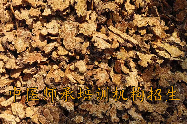 西宁中医师承培训班招生