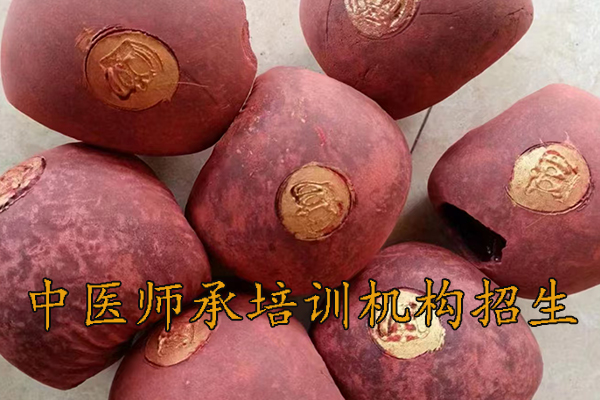 银川中医师承培训班正规机构