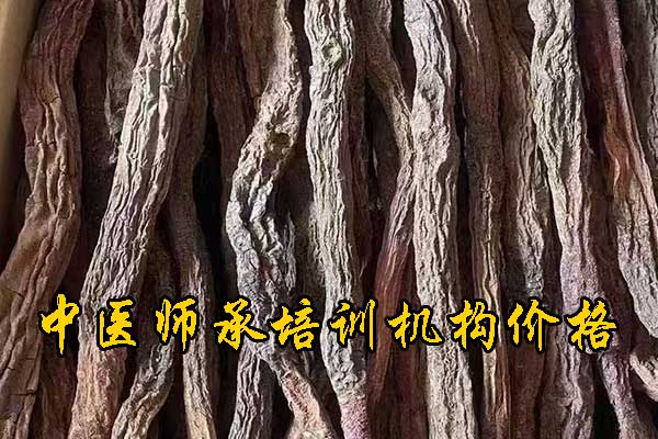 青岛中医师承培训班费用多少