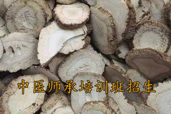 南昌中医师承培训班招生