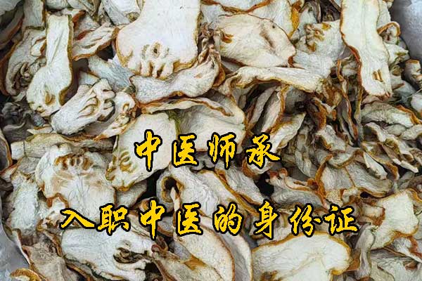 惠州中医师承培训班哪家好