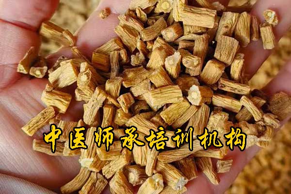 汕头中医师承培训班正规机构