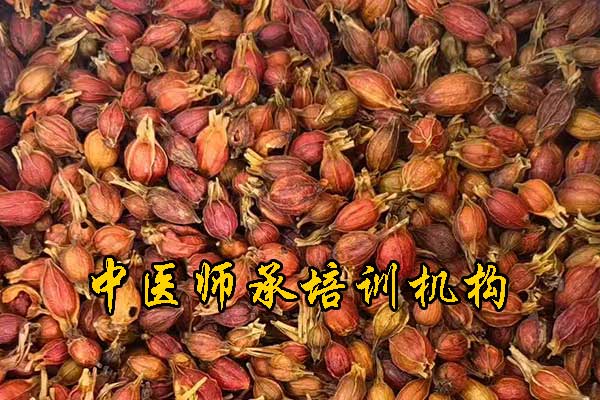 盐城中医师承培训班费用多少