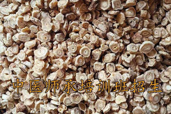 洛阳中医师承培训班费用多少