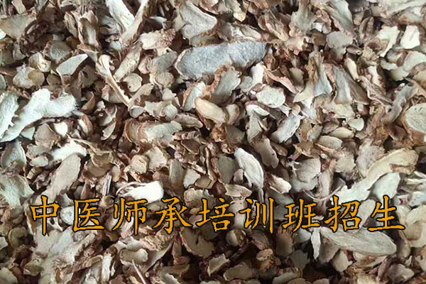 商丘中医师承培训班哪家好