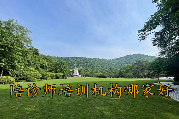 山东陪诊师培训班学费多少钱