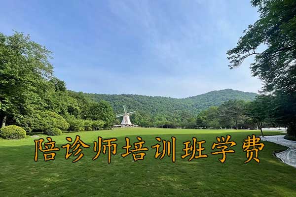 湖南陪诊师培训考试报名培训一站式服务