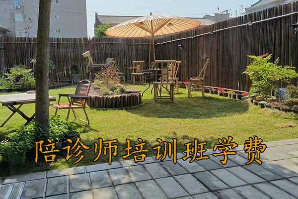 湖北陪诊师培训课程有哪些