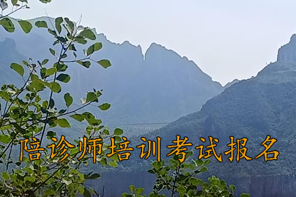 石家庄陪诊师培训考试报名培训一站式服务