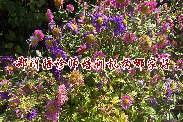 郑州陪诊师培训机构哪家好