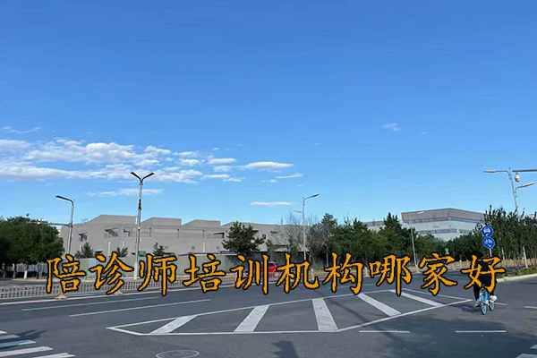 烟台陪诊师培训费用标准