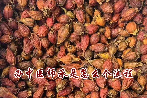 办中医师承是怎么个流程