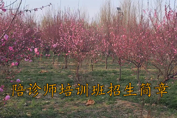 衡阳陪诊师培训班招生简章